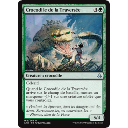 Crocodile de la Traversée / Crocodile of the Crossing