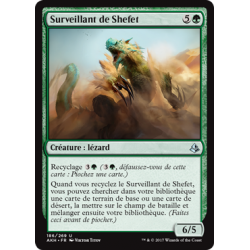 Surveillant de Shefet / Shefet Monitor