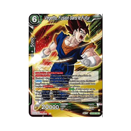 BT23-085-SR Vegetto, Fusion dans le Futur