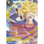 BT23-015-SPR Trunks SS, Technique traditionnelle autodidacte