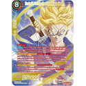 BT23-015-SPR Trunks SS, Technique traditionnelle autodidacte