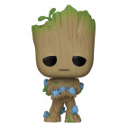 1194 Groot with grunds