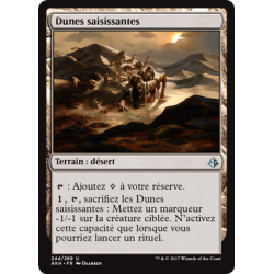 Dunes saisissantes / Grasping Dunes