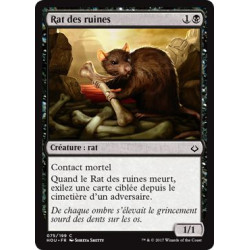 Rat des ruines / Ruin Rat