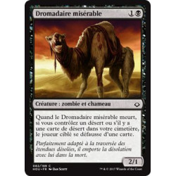 Dromadaire misérable / Wretched Camel