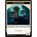 Hydre honorée / Honored Hydra