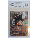 BT25-148 SCR Son Goku, Sommet de l'Origine