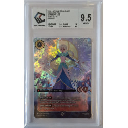 Elsa - Artisane de la glace