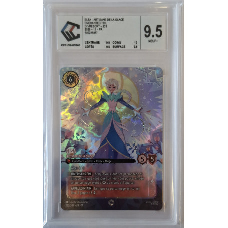Elsa - Artisane de la glace