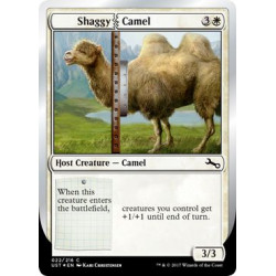 Shaggy Camel