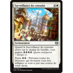 Surveillance du consulat / Consulate Surveillance