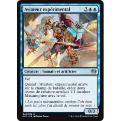 Aviateur expérimental / Experimental Aviator