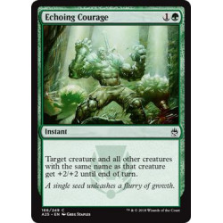 Echoing Courage