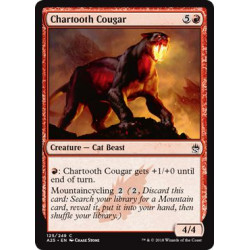 Chartooth Cougar