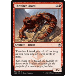 Thresher Lizard