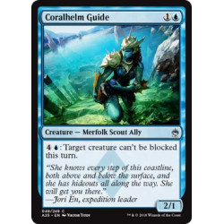 Coralhelm Guide