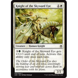 Knight of the Skyward Eye
