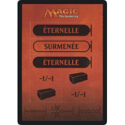 Carte perforée / Punch Card