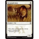 Savannah Lions - Foil