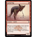 Jackal Pup - Foil