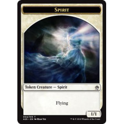 Spirit 1/1 Flying