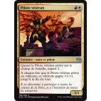 Pilote vétéran / Veteran Motorist