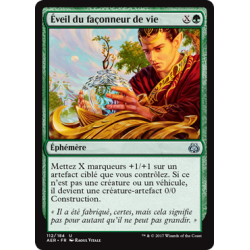 Éveil du façonneur de vie / Lifecraft Awakening