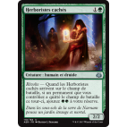 Herboristes cachés / Hidden Herbalists