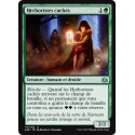 Herboristes cachés / Hidden Herbalists