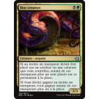 Boa sinueux / Winding Constrictor