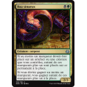 Boa sinueux / Winding Constrictor