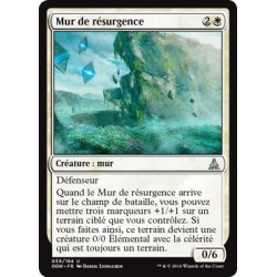 Mur de résurgence / Wall of Resurgence