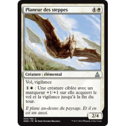 Planeur des steppes / Steppe Glider