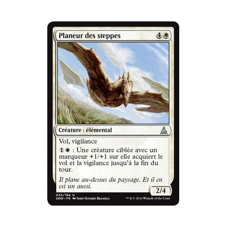 Planeur des steppes / Steppe Glider
