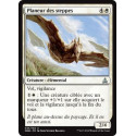 Planeur des steppes / Steppe Glider