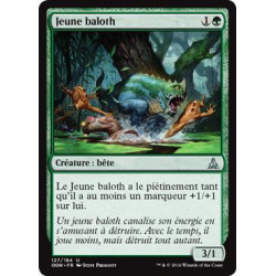 Jeune baloth / Baloth Pup