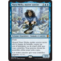 Naru Meha, maître sorcier / Naru Meha, Master Wizard