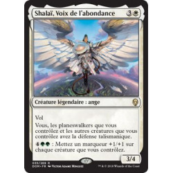 Shalaï, Voix de l'abondance / Shalai, Voice of Plenty