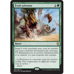 Éveil sylvestre / Sylvan Awakening