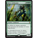 Force verdoyante / Verdant Force
