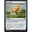 Lotus doré / Gilded Lotus