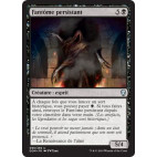 Fantôme persistant / Lingering Phantom