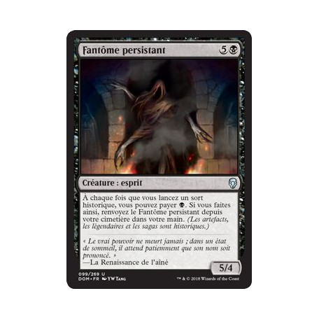 Fantôme persistant / Lingering Phantom