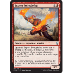 Expert Poingdefeu  / Firefist Adept