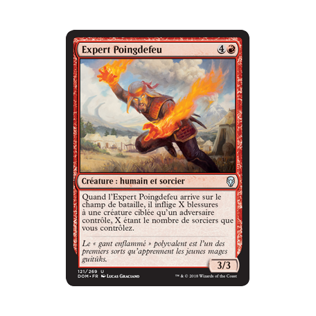 Expert Poingdefeu  / Firefist Adept