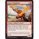 Expert Poingdefeu  / Firefist Adept