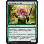 Thallidé fritillaire  / Sporecrown Thallid
