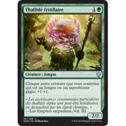 Thallidé fritillaire  / Sporecrown Thallid