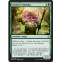 Thallidé fritillaire  / Sporecrown Thallid