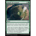 Spirale de la nature / Nature's Spiral